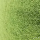 يوجدلديناجميع انواع الثيل الطبيعي الممتاز