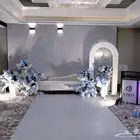 كوشة فى فندق بالوان راقية مع ممرة