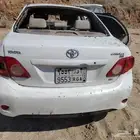 القنفذه