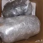 كمبروسر اكسنت كمبروسرات اكسنت من 2012 للى 2024