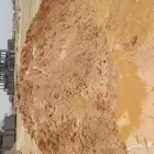 ترلا بطحه ابحر الرحيلي ذهبان ترلا كبير