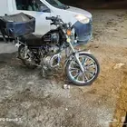 دباب مع لوحة