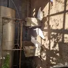 طاؤؤس أبيض للبيع