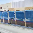 نحل مصرى