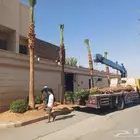 قلع وغرس ونقل النخيل بجميع انواعه