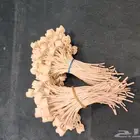 قاعدة لمبة اسبوت لايت وصله