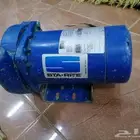 دينمو سمنان أمريكي