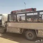 دينه تحميل إبل ونش متواجده بالقصيم مشاوير داخل القصيم فقط