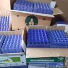 للبيع اطباق بيض فاضيه