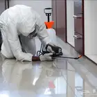 شركة مكافحة حشرات بمكة ورش مبيدات بمكة ومكافحه النمل بمكة