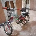 رامبو احمر للبيع