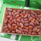 جميع انواع التمور
