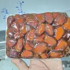 خلاص القصيم جامبو