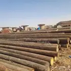 حشب كهربا سنوبر