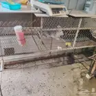 بطارية ارانب للبيع