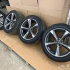 للبيع جنوط موستنج 2020