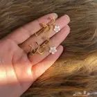 بروش راقي وجميل