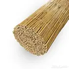 خيزران توريد