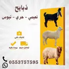 ذبايح