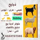 ذبايح   نعيمي - حري - تيوس