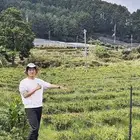 ماتشا احتفاليه فاخره