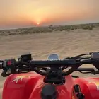 دباب سويد للبيع