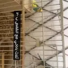 طيور زينه