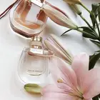 عطور