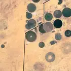 للبيع مزرعة خلف جبل ساق القصيم
