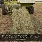 المنطقه الشرقيه الصرار