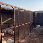 عشش دواجن للبيع