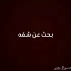 مطلوب شقه صغيره