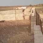 خيل واهو خط سرعه خيل سبوق