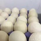 بيض بط بكيني