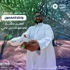 مقاط بيع مدى