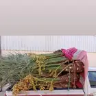 يوجد لدينا جميع انواع النخيل