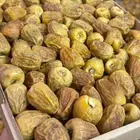 تمر فاخر من الآخر نوع التمر الإخلاص