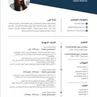 سيرة الذاتيه سيفي CVعرض خاص محدوده لمدة 24 ساعه و ينتهي