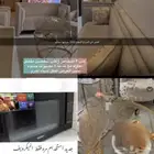 كنب   ميكرويف   طاولة