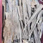 جميع أنواع العود