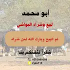 اثنين طليان ورخل سمان جمله وتفريد تم البيع خارج الموقع