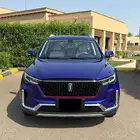 فاو T33فل كامل موديل 2022 وكالة عداد (27000)