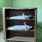 دولاب تخزين دولاب حوشد دولاب عزبه ضدالمطرجلد كري اصل