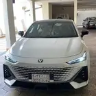 شانجان يوني في 2025