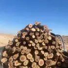 الصندوق لا البيع