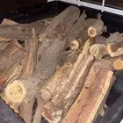 حطب طلح للبيع