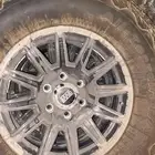 جنوط برايد لاندكروزر
