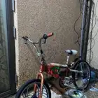 سيكل كوبرا مقاس 20