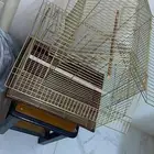 شبك  عصافير نظيف جدا