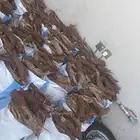 للبيع خياش. دفيات برد حجم الخياشه 15 كيلو